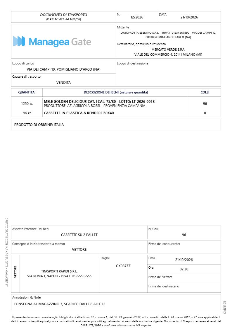 Esempio di DDT compilato: documento di trasporto di frutta con mittente, destinatario, prodotti, colli, vettore, targa e firme